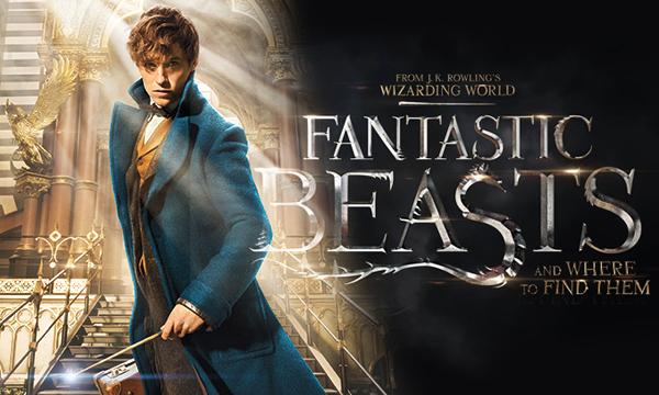 The adventures of Newt Scamander and where they began